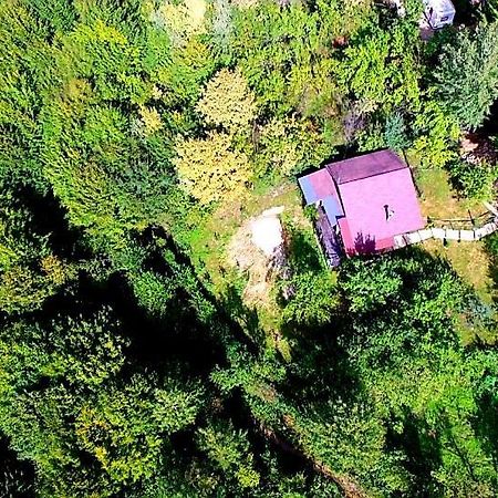 Mystically Wood House In The Forest Carjari Buitenkant foto