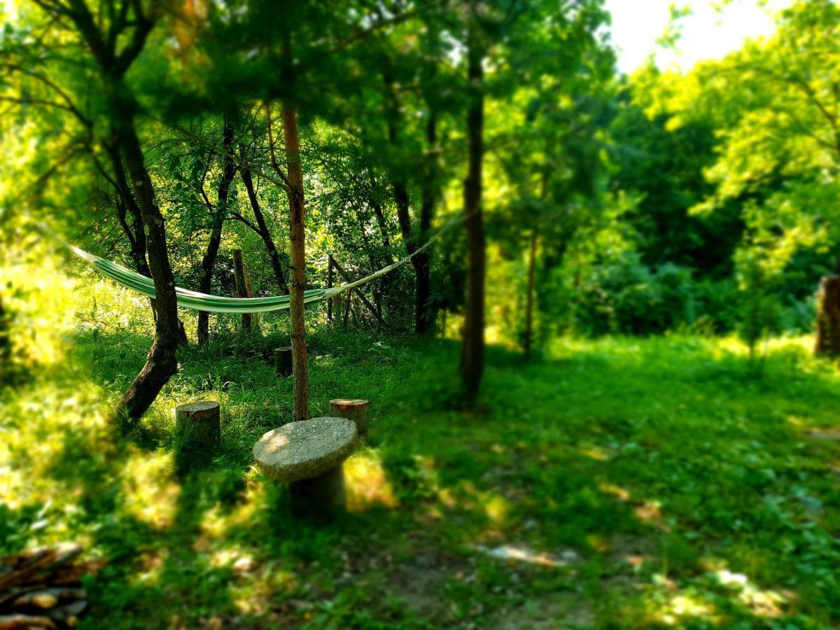Mystically Wood House In The Forest Carjari Buitenkant foto