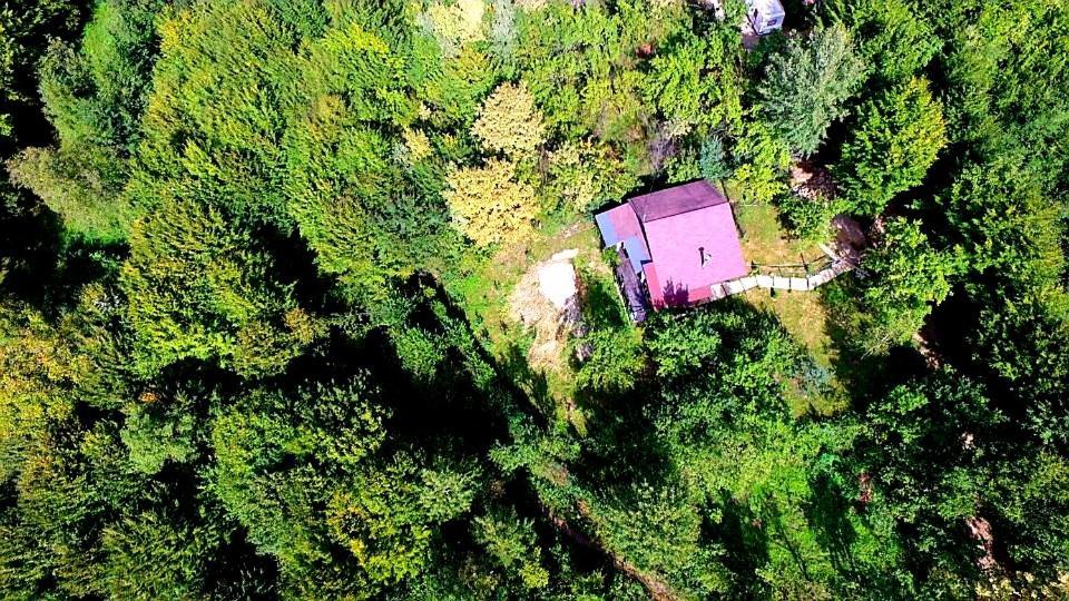 Mystically Wood House In The Forest Carjari Buitenkant foto